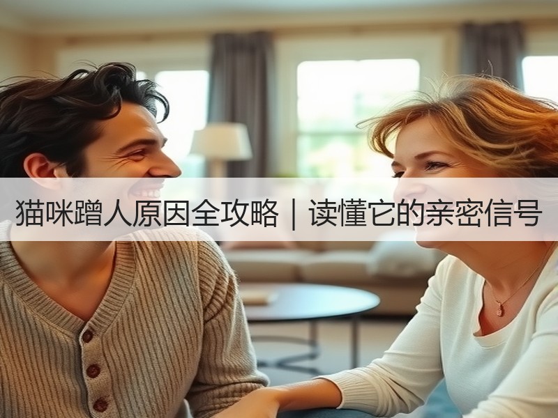 猫咪蹭人原因全攻略｜读懂它的亲密信号