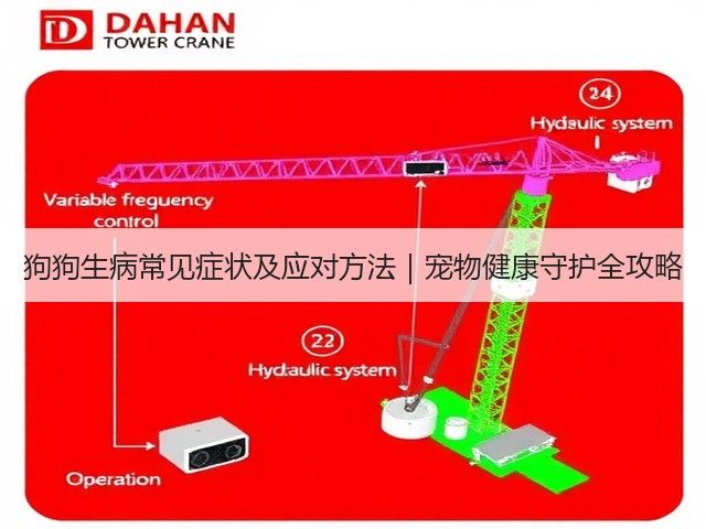 狗狗生病常见症状及应对方法|宠物健康守护全攻略(图3) 狗狗生病常见症状及应对方法|宠物健康守护全攻略(图3)