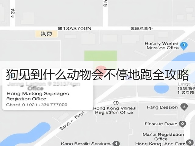 狗见到什么动物会不停地跑全攻略(图2) 狗见到什么动物会不停地跑全攻略(图2)