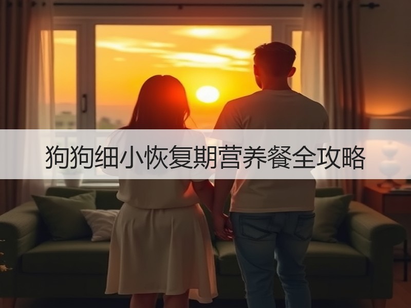 狗狗细小恢复期营养餐全攻略