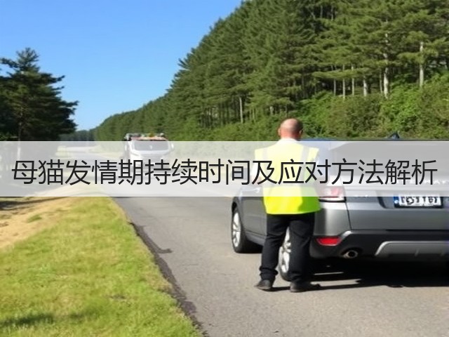 母猫发情期持续时间及应对方法解析(图2)