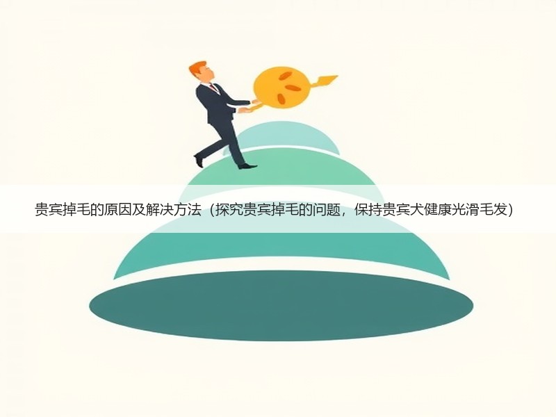贵宾掉毛的原因及解决方法（探究贵宾掉毛的问题，保持贵宾犬健康光滑毛发）