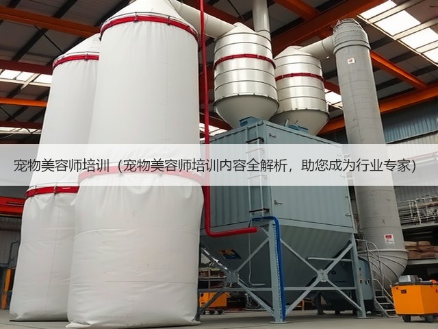 宠物美容师培训(宠物美容师培训内容全解析,助您成为行业专家)(图1) 宠物美容师培训(宠物美容师培训内容全解析,助您成为行业专家)(图1)