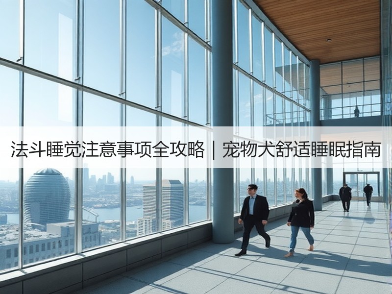 法斗睡觉注意事项全攻略｜宠物犬舒适睡眠指南