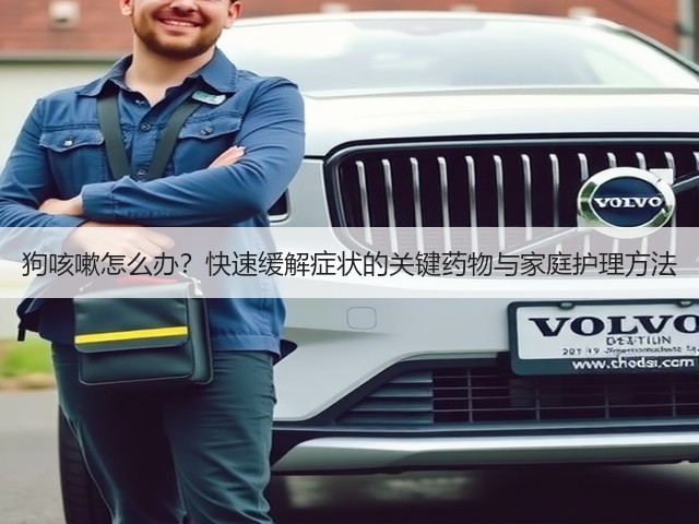 狗咳嗽怎么办?快速缓解症状的关键药物与家庭护理方法(图3) 狗咳嗽怎么办?快速缓解症状的关键药物与家庭护理方法(图3)
