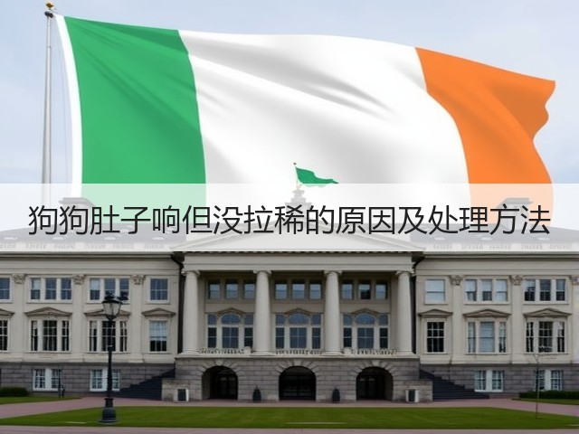 狗狗肚子响但没拉稀的原因及处理方法(图3)