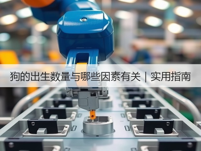 狗的出生数量与哪些因素有关|实用指南(图1) 狗的出生数量与哪些因素有关|实用指南(图1)