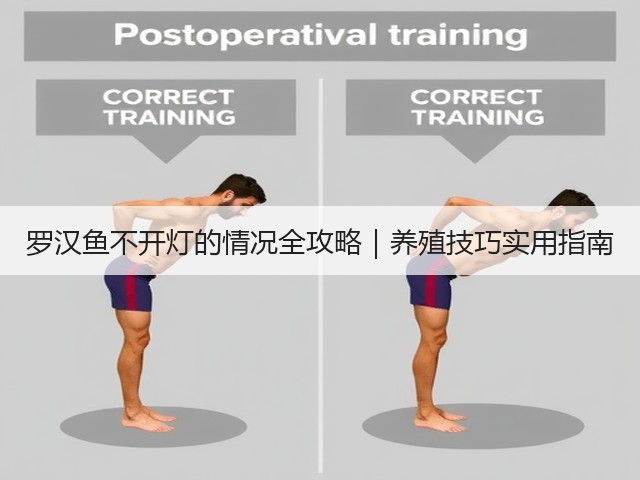 罗汉鱼不开灯的情况全攻略|养殖技巧实用指南(图2) 罗汉鱼不开灯的情况全攻略|养殖技巧实用指南(图2)