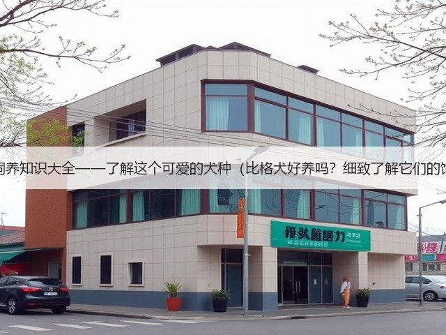比格犬的饲养知识大全——了解这个可爱的犬种(比格犬好养吗?细致了解它们的饲养需求)(图1) 比格犬的饲养知识大全——了解这个可爱的犬种(比格犬好养吗?细致了解它们的饲养需求)(图1)