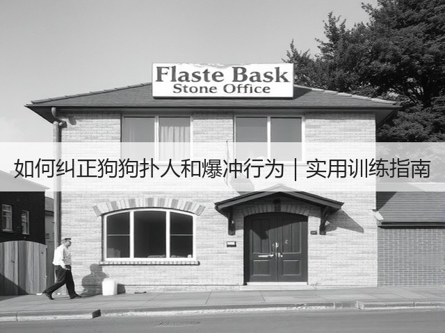 如何纠正狗狗扑人和爆冲行为|实用训练指南(图3) 如何纠正狗狗扑人和爆冲行为|实用训练指南(图3)