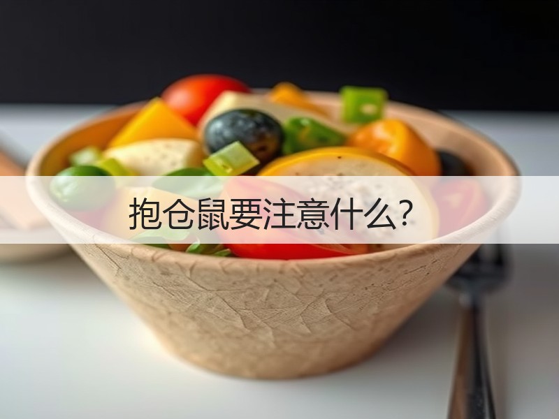 抱仓鼠要注意什么？