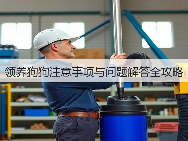 领养狗狗注意事项与问题解答全攻略(图3) 领养狗狗注意事项与问题解答全攻略(图3)