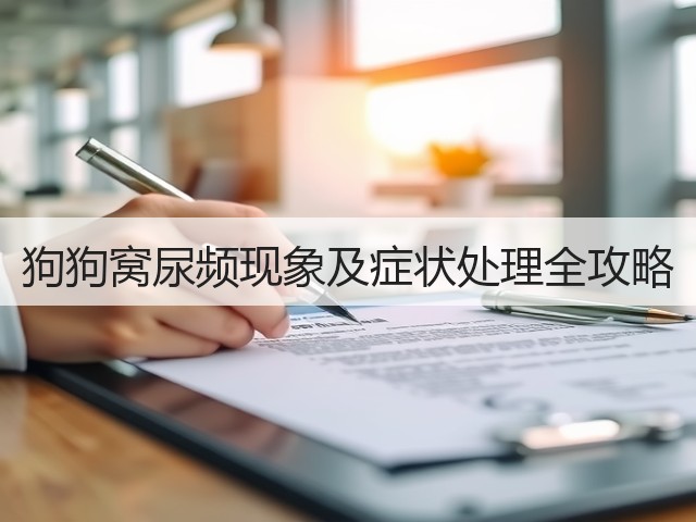 狗狗窝尿频现象及症状处理全攻略(图2) 狗狗窝尿频现象及症状处理全攻略(图2)
