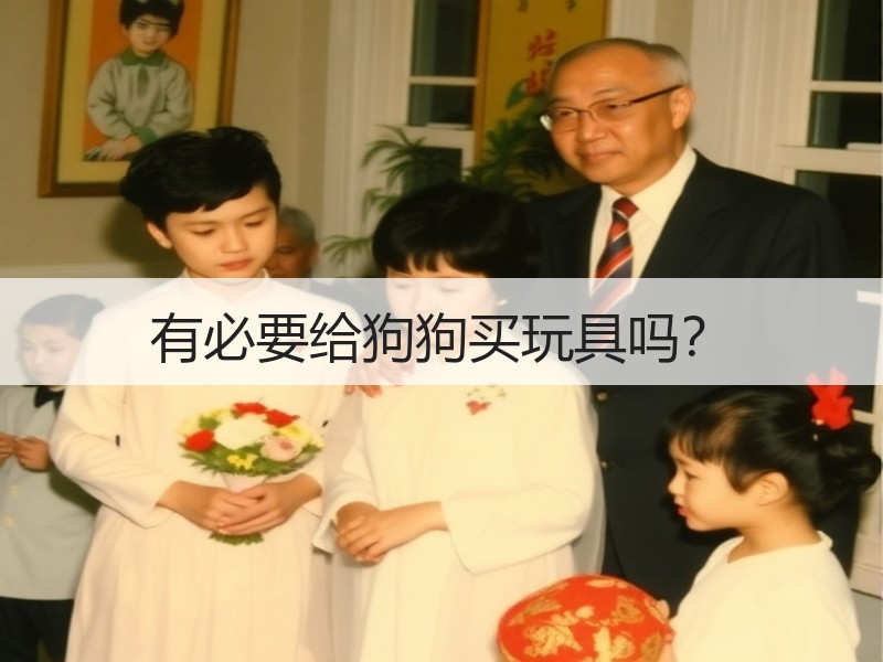 有必要给狗狗买玩具吗？