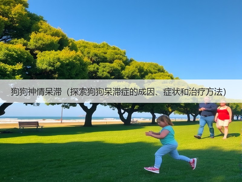 狗狗神情呆滞（探索狗狗呆滞症的成因、症状和治疗方法）