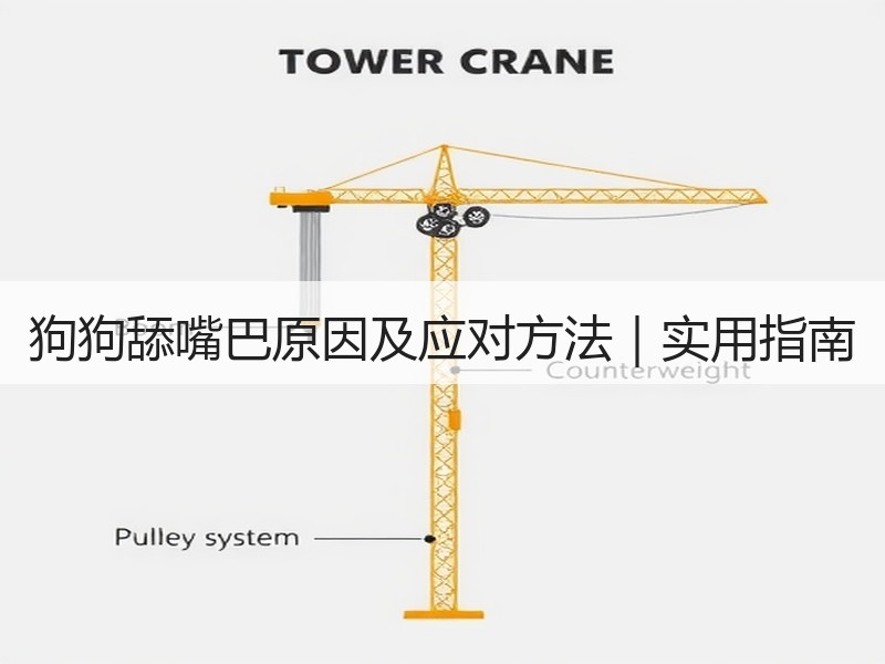 狗狗舔嘴巴原因及应对方法｜实用指南