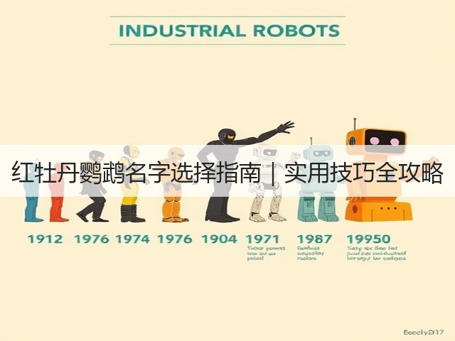 红牡丹鹦鹉名字选择指南|实用技巧全攻略(图3) 红牡丹鹦鹉名字选择指南|实用技巧全攻略(图3)