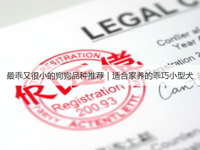 最乖又很小的狗狗品种推荐|适合家养的乖巧小型犬(图2) 最乖又很小的狗狗品种推荐|适合家养的乖巧小型犬(图2)