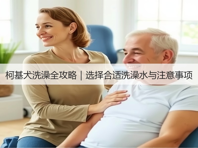 柯基犬洗澡全攻略｜选择合适洗澡水与注意事项