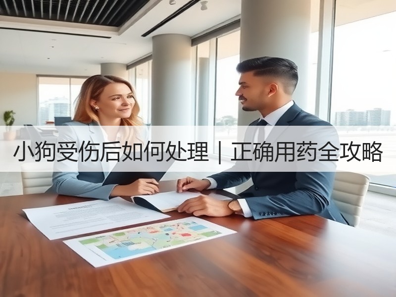 小狗受伤后如何处理｜正确用药全攻略