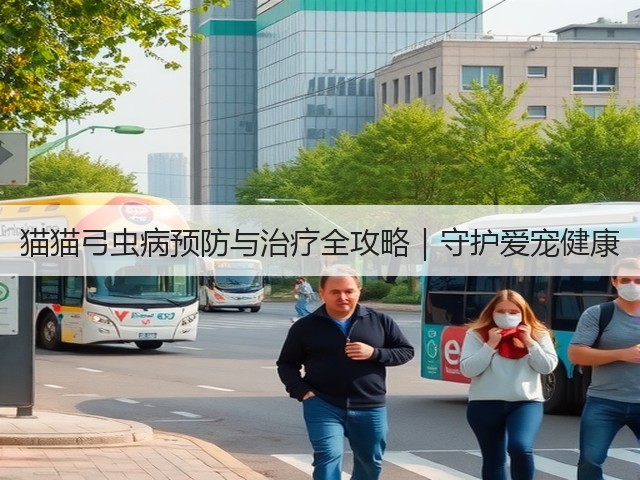 猫猫弓虫病预防与治疗全攻略｜守护爱宠健康(图3)