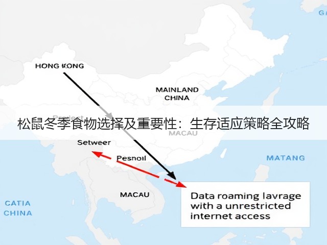 松鼠冬季食物选择及重要性:生存适应策略全攻略(图3) 松鼠冬季食物选择及重要性:生存适应策略全攻略(图3)