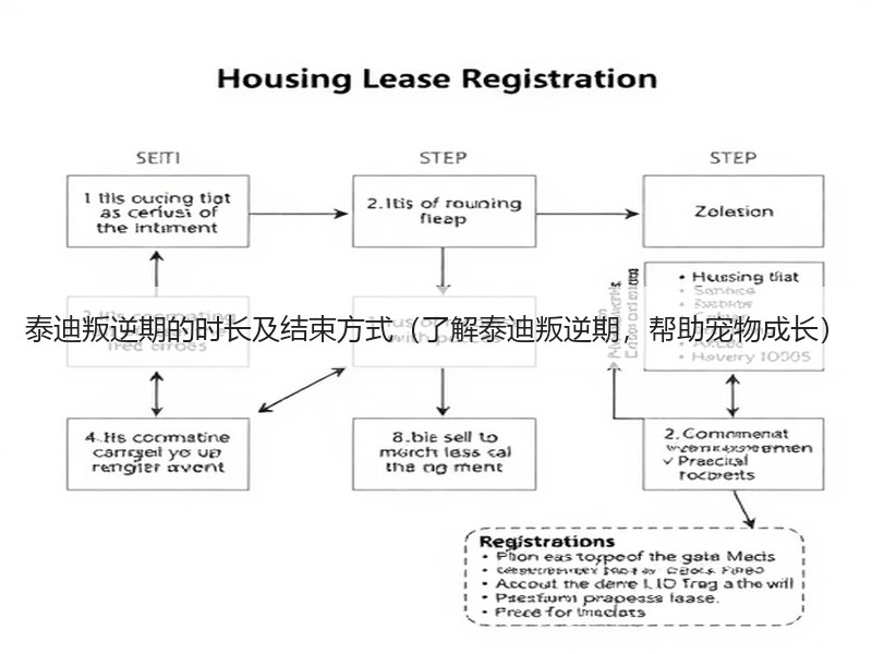 泰迪叛逆期的时长及结束方式（了解泰迪叛逆期，帮助宠物成长）