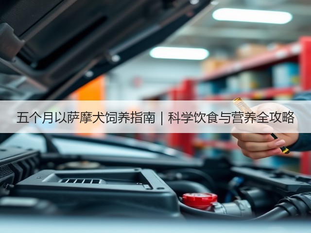 五个月以萨摩犬饲养指南|科学饮食与营养全攻略(图3) 五个月以萨摩犬饲养指南|科学饮食与营养全攻略(图3)