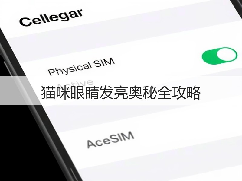 猫咪眼睛发亮奥秘全攻略