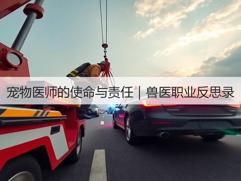 宠物医师的使命与责任｜兽医职业反思录