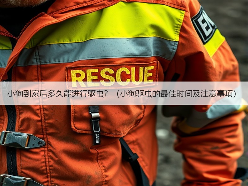小狗到家后多久能进行驱虫？（小狗驱虫的最佳时间及注意事项）