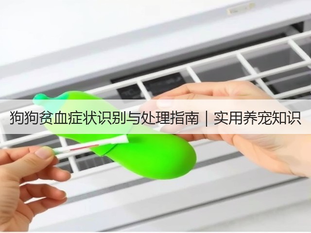 狗狗贫血症状识别与处理指南|实用养宠知识(图3) 狗狗贫血症状识别与处理指南|实用养宠知识(图3)