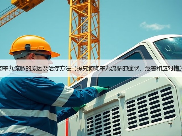 狗狗睾丸流脓的原因及治疗方法(探究狗狗睾丸流脓的症状、危害和应对措施)(图3) 狗狗睾丸流脓的原因及治疗方法(探究狗狗睾丸流脓的症状、危害和应对措施)(图3)