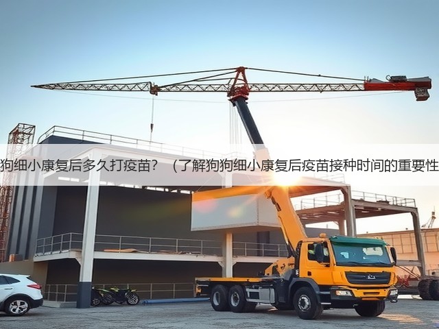 狗狗细小康复后多久打疫苗?(了解狗狗细小康复后疫苗接种时间的重要性)(图3) 狗狗细小康复后多久打疫苗?(了解狗狗细小康复后疫苗接种时间的重要性)(图3)