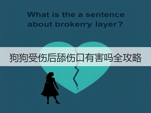 狗狗受伤后舔伤口有害吗全攻略(图3) 狗狗受伤后舔伤口有害吗全攻略(图3)