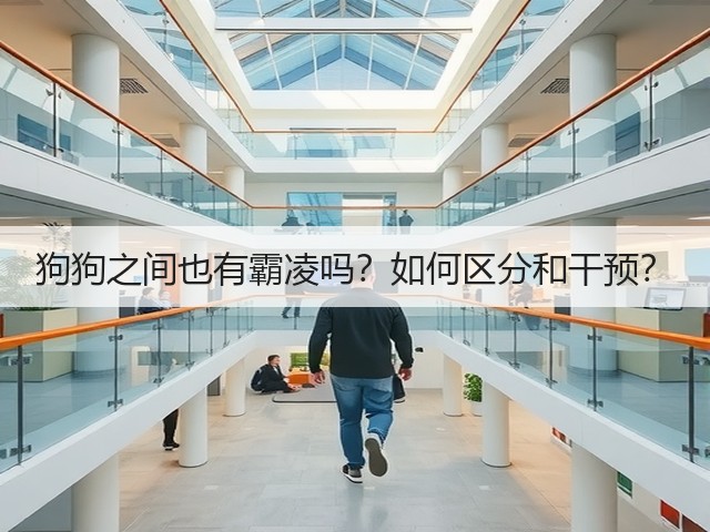 狗狗之间也有霸凌吗?如何区分和干预?(图1) 狗狗之间也有霸凌吗?如何区分和干预?(图1)