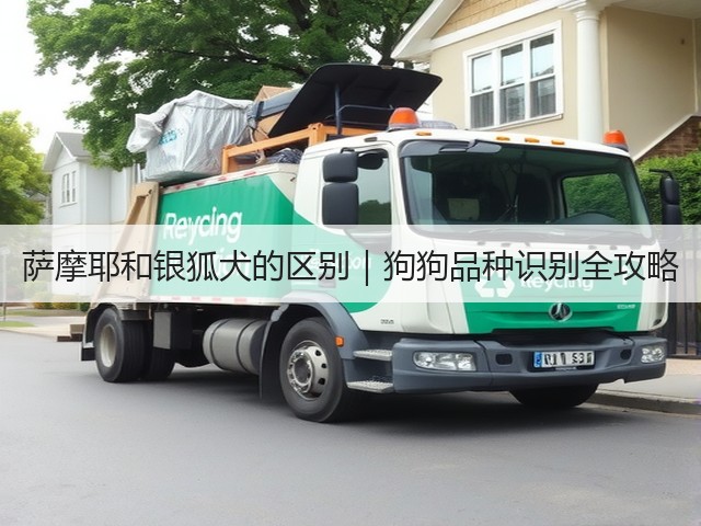 萨摩耶和银狐犬的区别|狗狗品种识别全攻略(图1) 萨摩耶和银狐犬的区别|狗狗品种识别全攻略(图1)