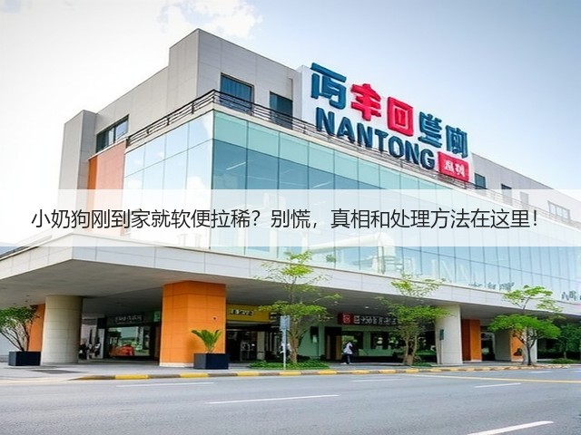 小奶狗刚到家就软便拉稀?别慌,真相和处理方法在这里!(图3) 小奶狗刚到家就软便拉稀?别慌,真相和处理方法在这里!(图3)