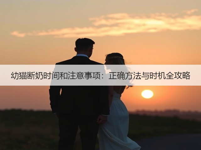 幼猫断奶时间和注意事项:正确方法与时机全攻略(图1) 幼猫断奶时间和注意事项:正确方法与时机全攻略(图1)