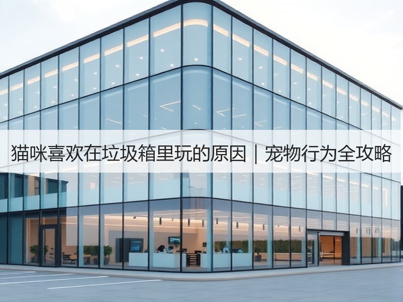 猫咪喜欢在垃圾箱里玩的原因｜宠物行为全攻略