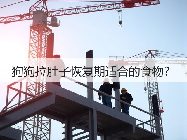 狗狗拉肚子恢复期适合的食物?(图1) 狗狗拉肚子恢复期适合的食物?(图1)