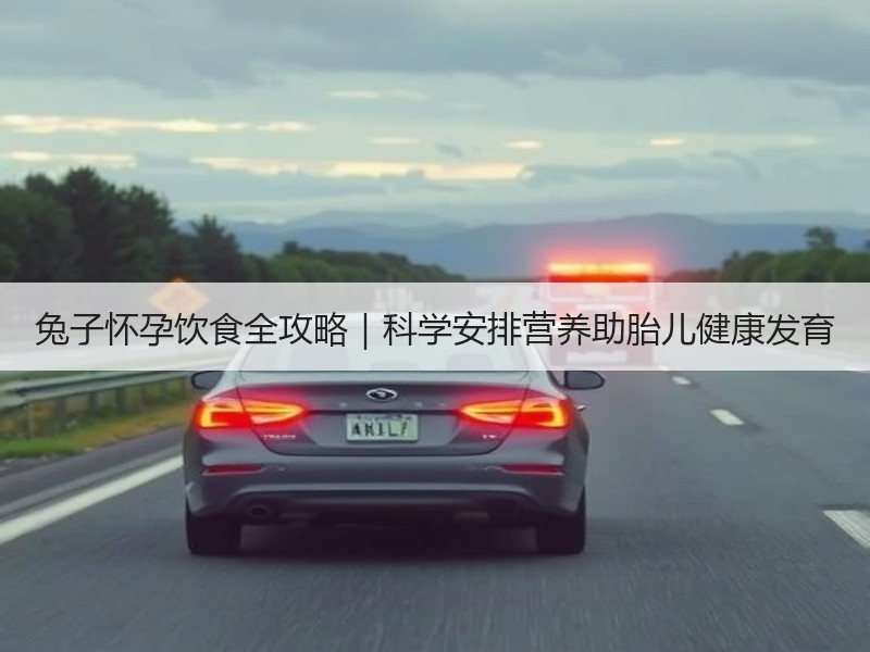 兔子怀孕饮食全攻略｜科学安排营养助胎儿健康发育