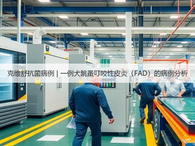克维舒抗菌病例 | 一例犬跳蚤叮咬性皮炎(FAD)的病例分析(图2) 克维舒抗菌病例 | 一例犬跳蚤叮咬性皮炎(FAD)的病例分析(图2)