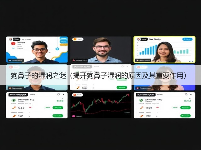 狗鼻子的湿润之谜(揭开狗鼻子湿润的原因及其重要作用)(图3) 狗鼻子的湿润之谜(揭开狗鼻子湿润的原因及其重要作用)(图3)
