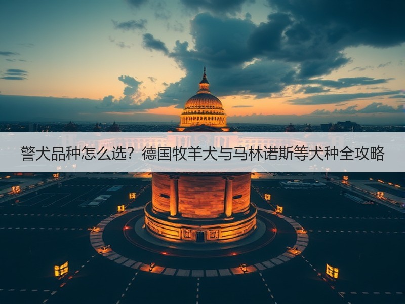 警犬品种怎么选？德国牧羊犬与马林诺斯等犬种全攻略