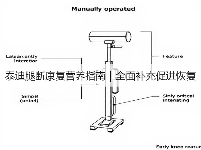 泰迪腿断康复营养指南|全面补充促进恢复(图2) 泰迪腿断康复营养指南|全面补充促进恢复(图2)