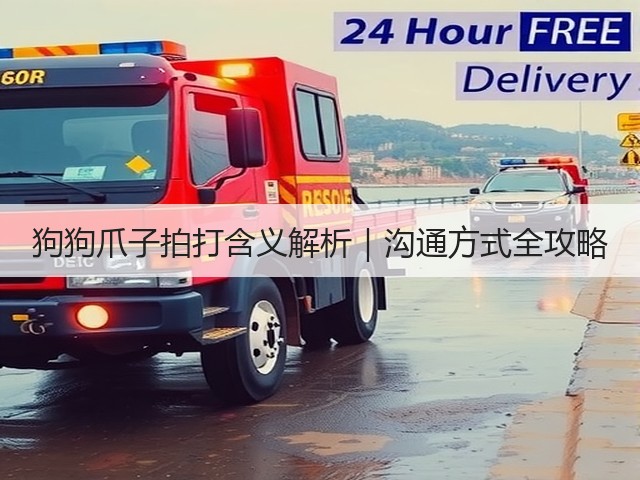 狗狗爪子拍打含义解析|沟通方式全攻略(图2) 狗狗爪子拍打含义解析|沟通方式全攻略(图2)