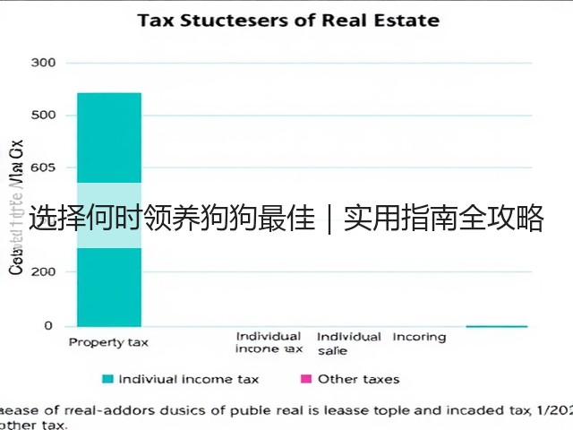 选择何时领养狗狗最佳|实用指南全攻略(图1) 选择何时领养狗狗最佳|实用指南全攻略(图1)