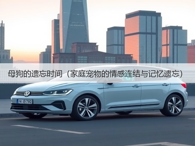 母狗的遗忘时间（家庭宠物的情感连结与记忆遗忘）