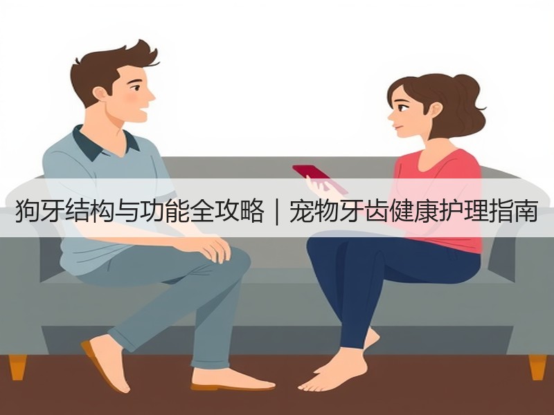 狗牙结构与功能全攻略｜宠物牙齿健康护理指南